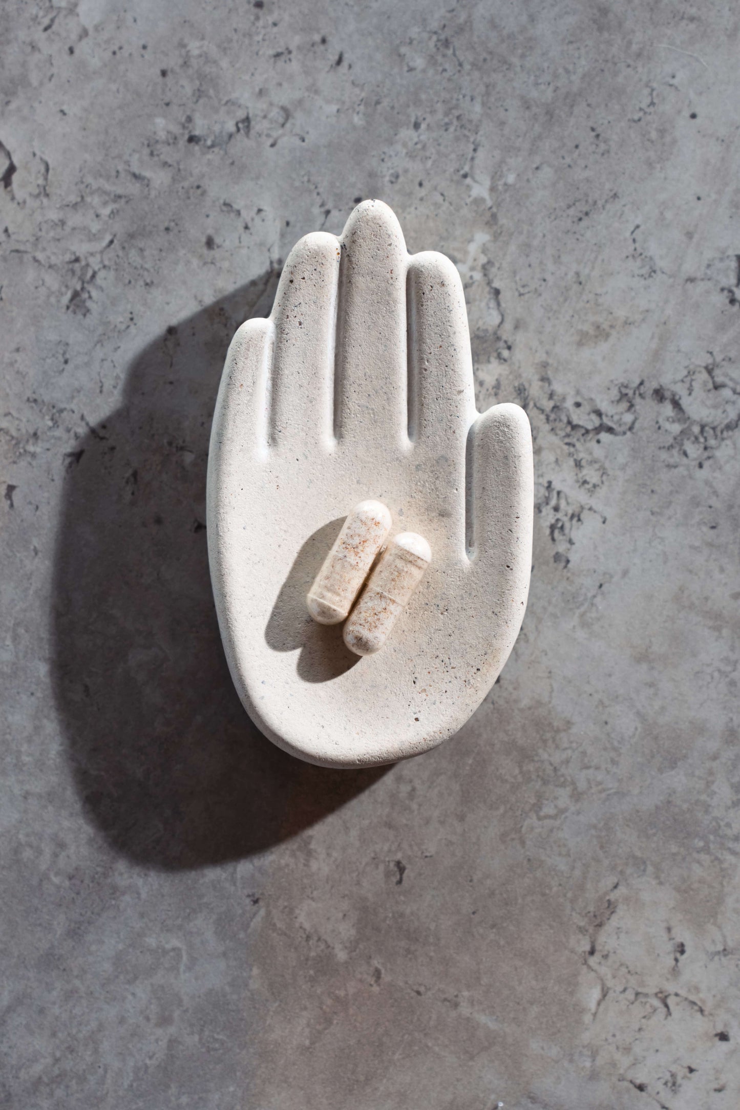 Capsulas suplemento digestivo Moolic con combinación de cepas y prebióticos naturales