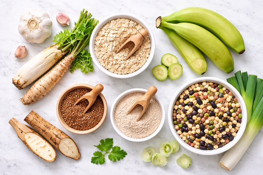 Ilustración científica de bacterias intestinales fermentando fibra dietaria para producir butirato, el ácido graso de cadena corta más importante para la salud del intestino