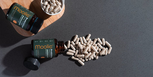 Daily Dgest de Moolic probioticos