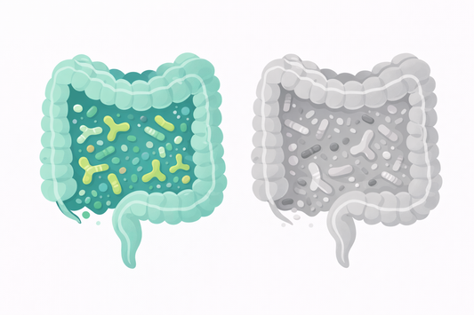 Comparación ilustrada entre una microbiota intestinal sana con bacterias diversas y coloridas, y una microbiota en disbiosis con menor diversidad y bacterias patógenas predominantes