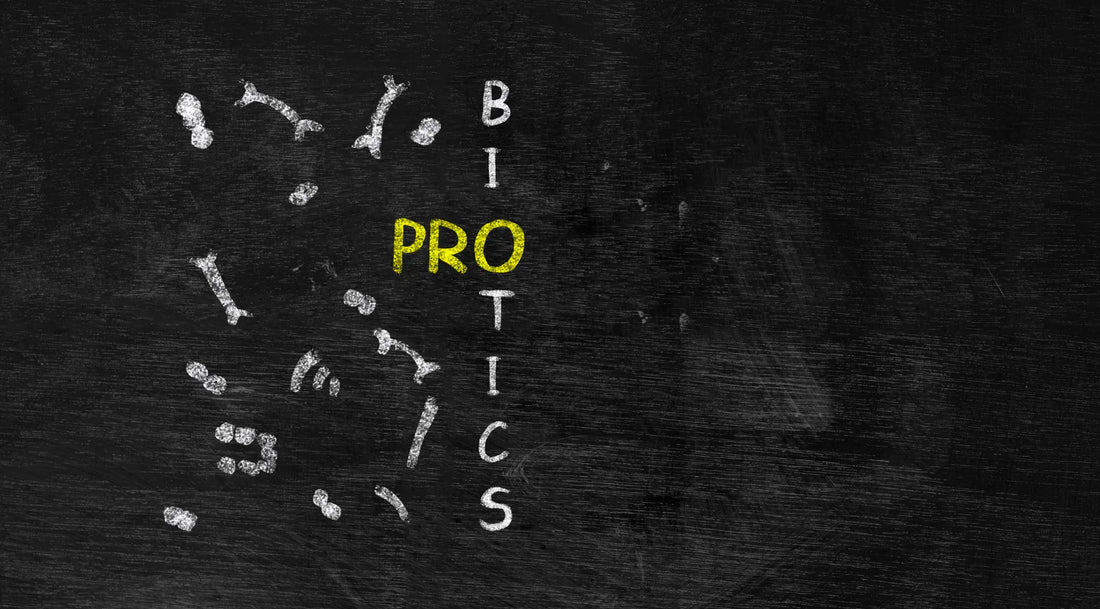 ¿Qué son los probióticos y cómo elegir el mejor? - Moolic