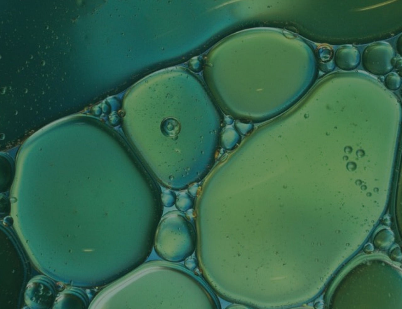 Imagen científica de bienestar basado en ciencia de moolic